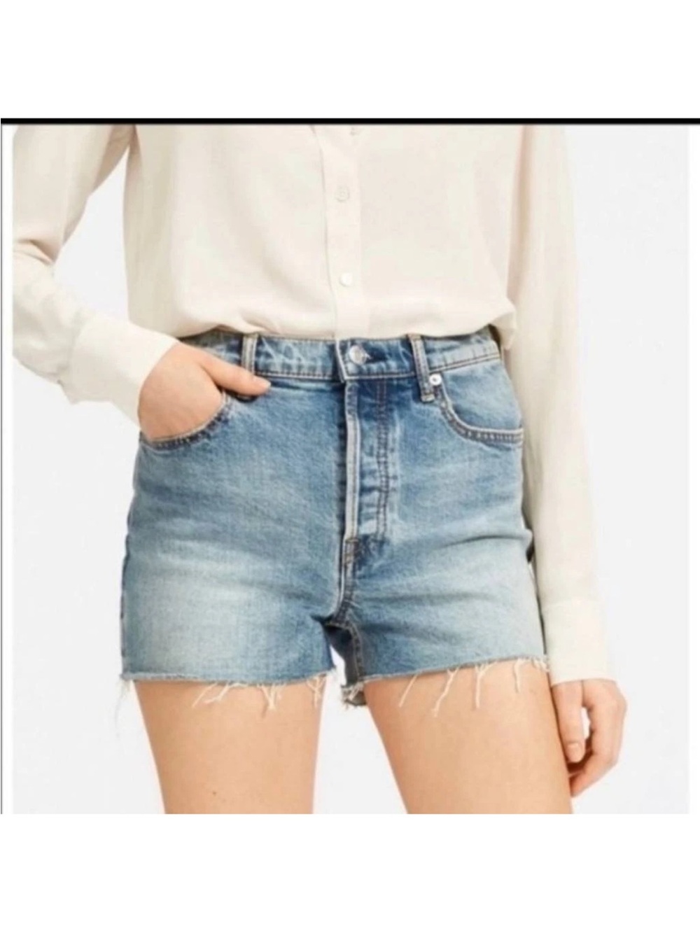 Everlane The Cheeky Short Distressed Shorts